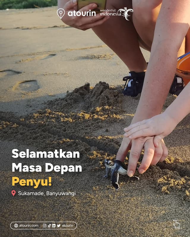 Sukamade turtle conservation Instagram post