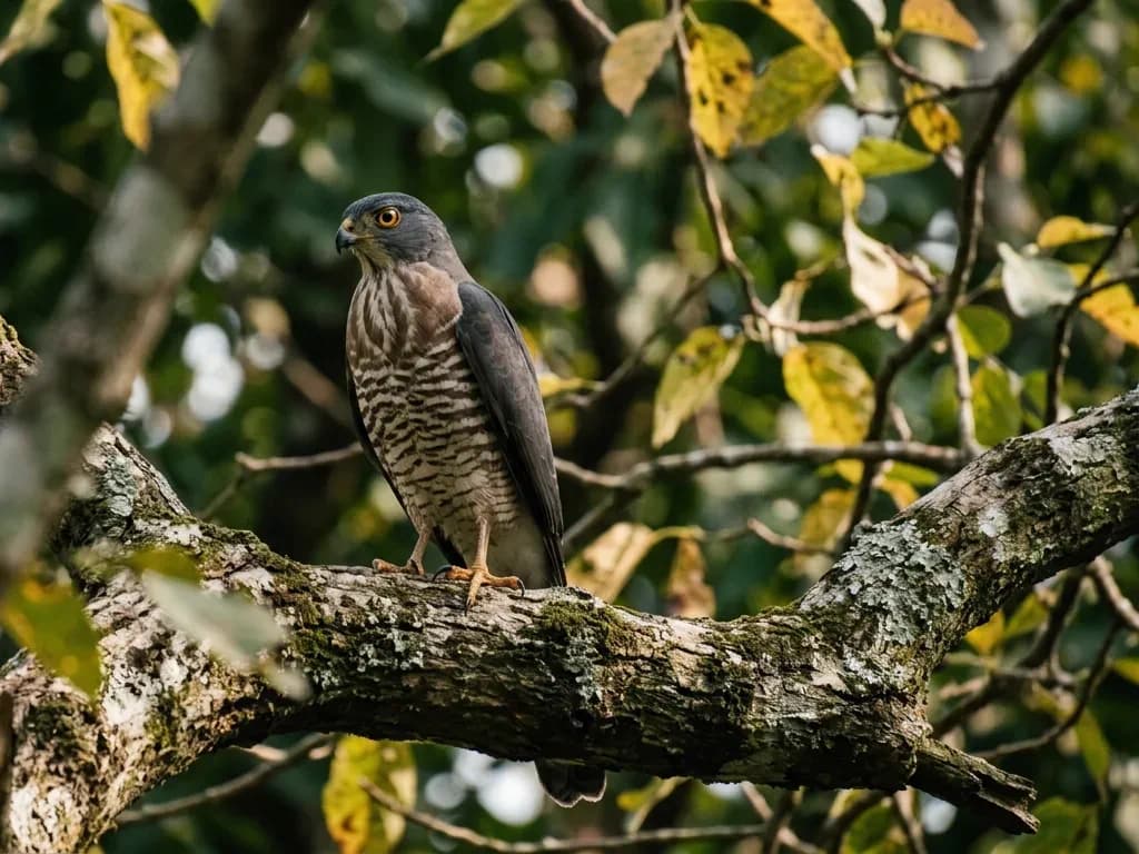 Bird Watching photo