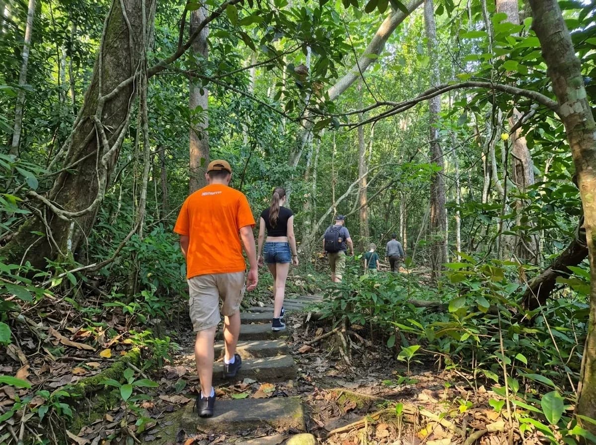 Jungle tracking route to Green Bay Meru Betiri