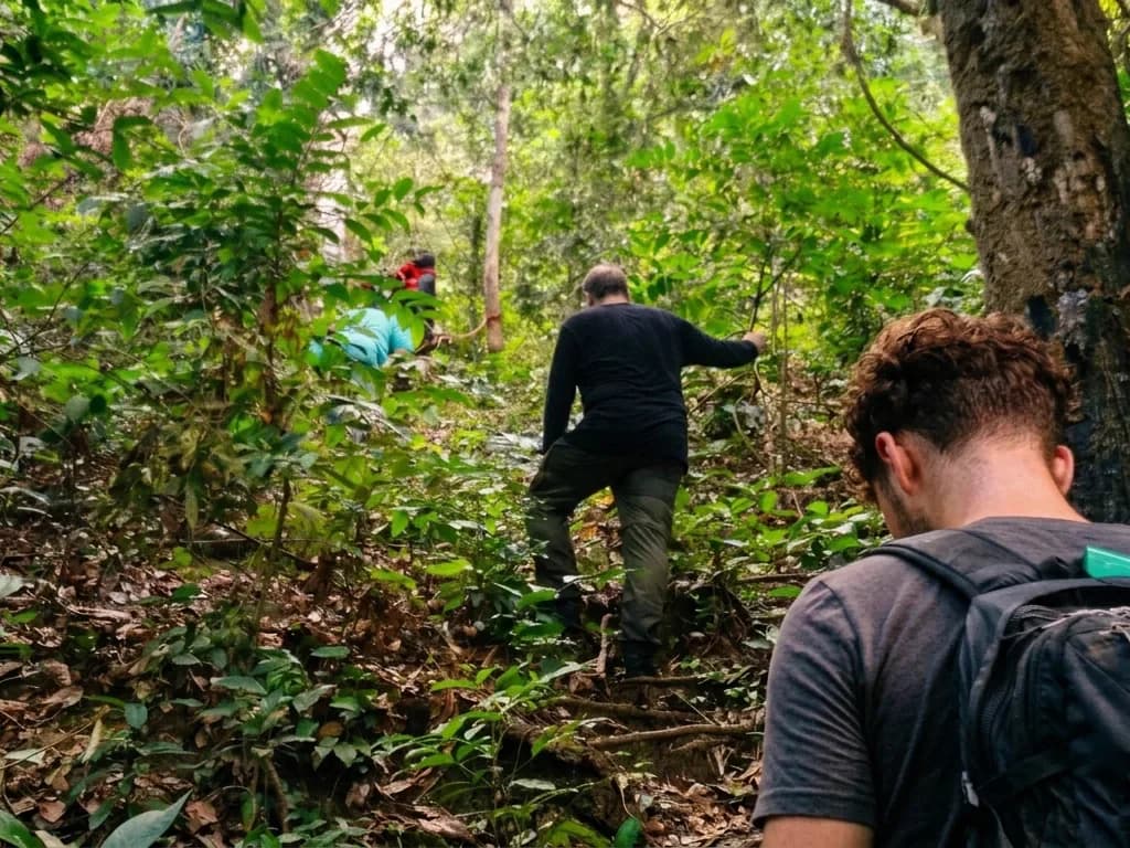 Jungle trekking trail in Meru Betiri