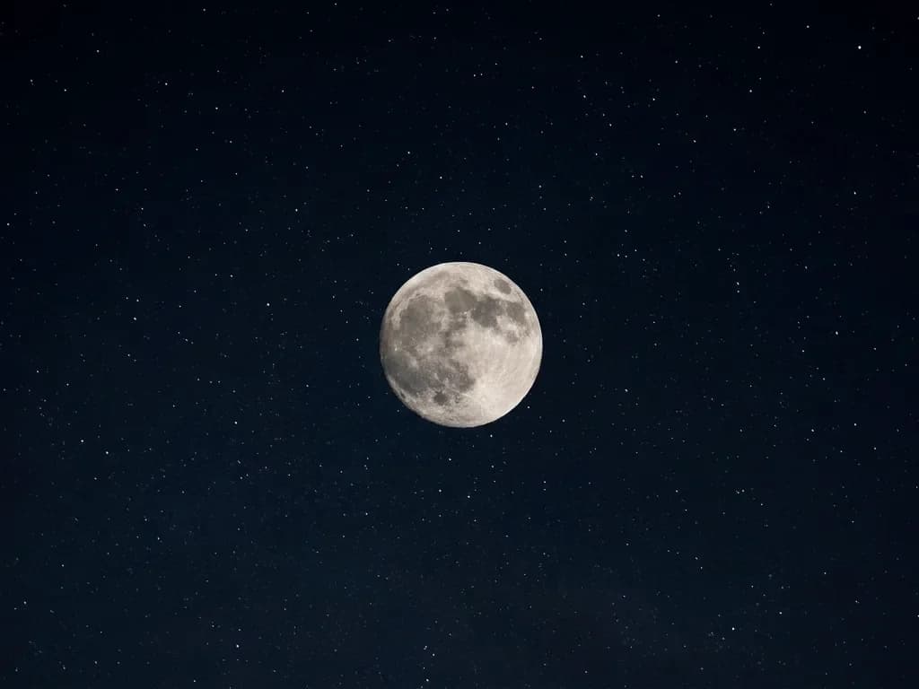 Full moon night patrol at Sukamade