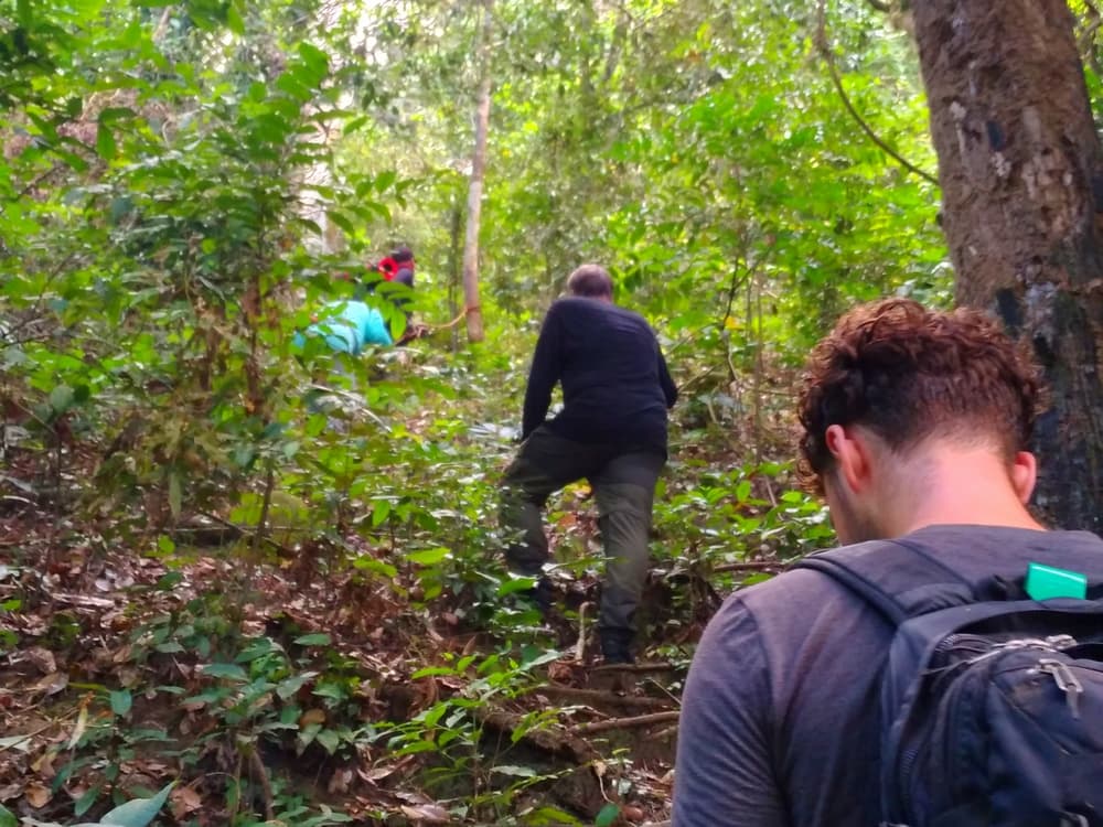 Jungle Tracking Sukamade