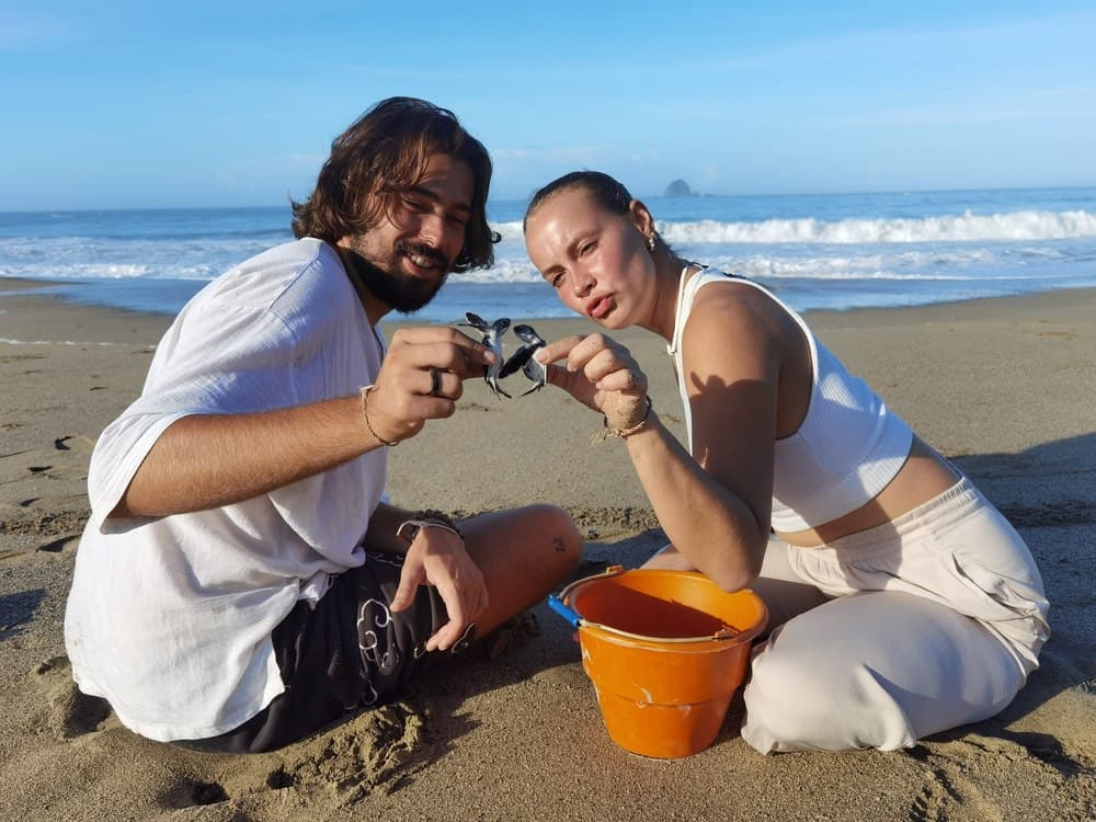 Releasing baby turtle to the sea
